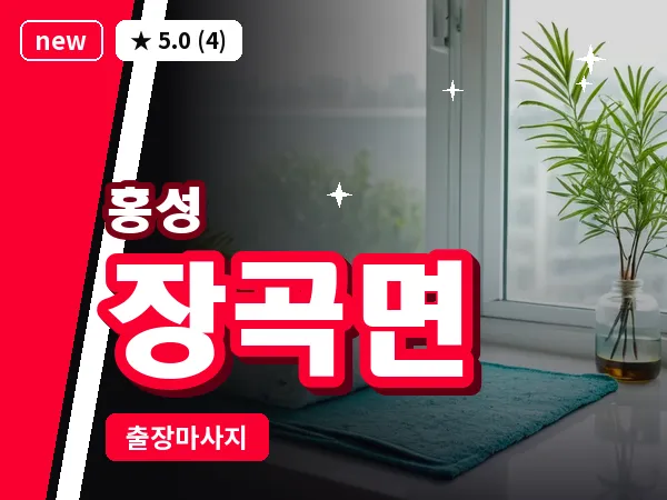 충남 홍성군 장곡면 출장 커플 마사지