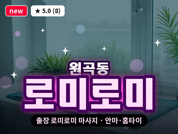경기 안산시단원구 원곡동 출장 로미로미 마사지