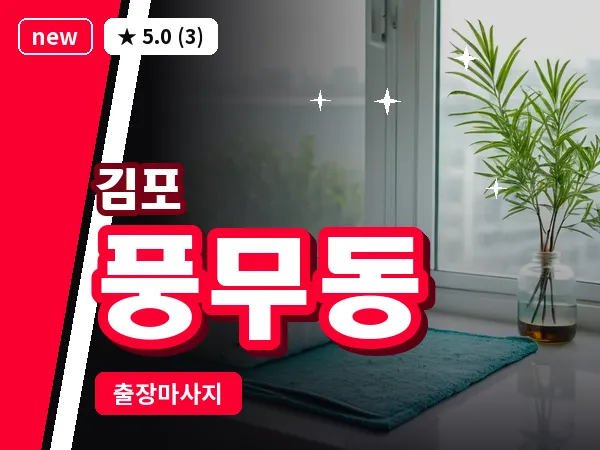 경기 김포시 풍무동 출장 회복 마사지