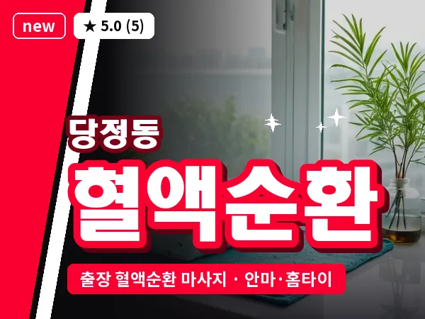 경기 군포시 당정동 출장 혈액순환 마사지