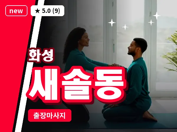 경기 화성시 새솔동 출장 건식 마사지
