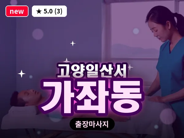 경기 고양시일산서구 가좌동 출장 건식 마사지