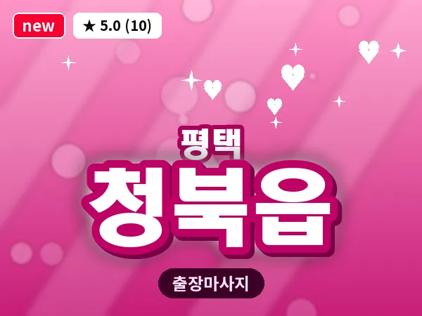 경기 평택시 청북읍 출장 VIP 마사지