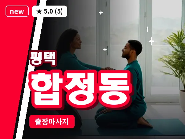 경기 평택시 합정동 출장 VIP 마사지