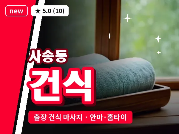 경기 성남시수정구 사송동 출장 건식 마사지