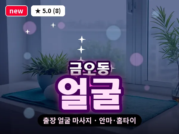 경기 의정부시 금오동 출장 얼굴 마사지