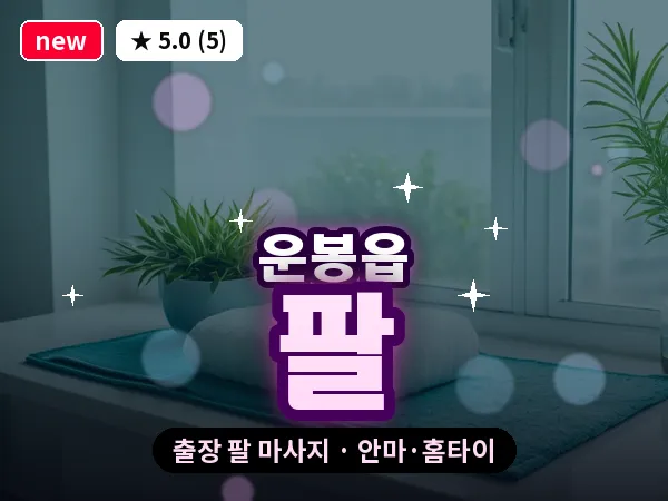 전북 남원시 운봉읍 출장 팔 마사지