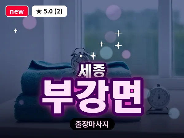세종 세종시 부강면 출장 프리미엄 마사지