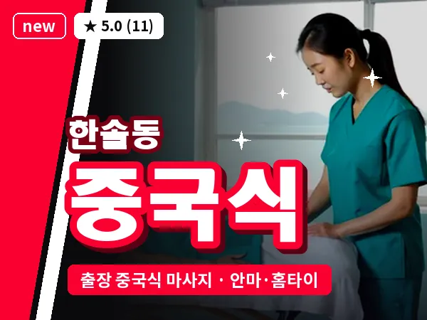 세종 세종시 한솔동 출장 중국식 마사지