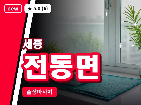 세종 세종시 전동면 출장 프리미엄 마사지
