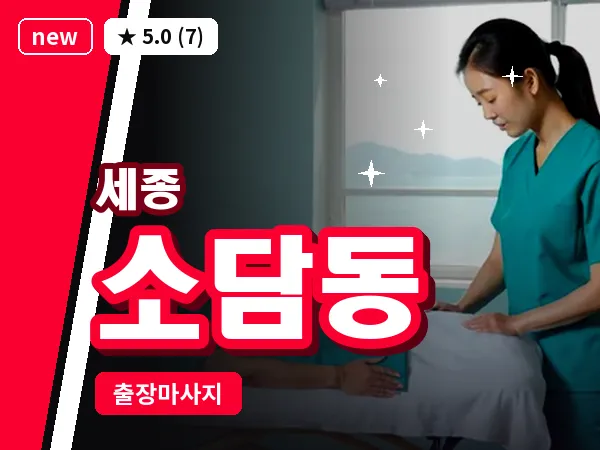세종 세종시 소담동 출장 프리미엄 마사지