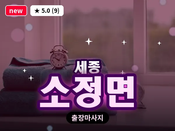 세종 세종시 소정면 출장 프리미엄 마사지