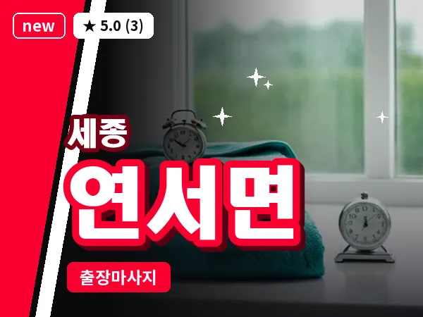 세종 세종시 연서면 출장 프리미엄 마사지