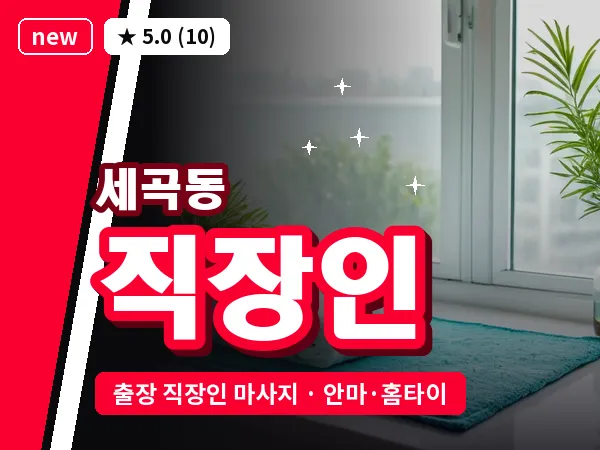 서울 강남구 세곡동 출장 직장인 마사지