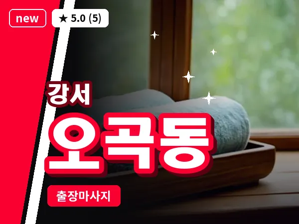 서울 강서구 오곡동 출장 수면 마사지