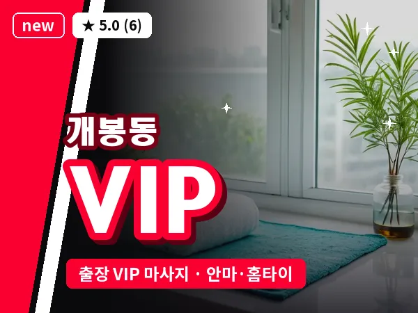 서울 구로구 개봉동 출장 VIP 마사지