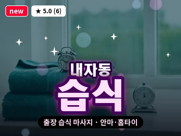 서울 종로구 내자동 출장 습식 마사지