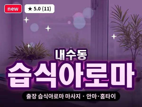 서울 종로구 내수동 출장 습식아로마 마사지