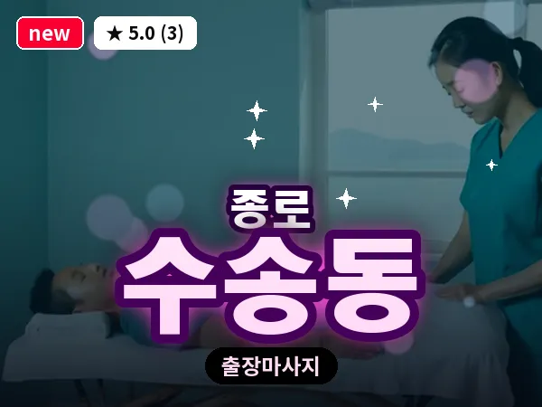 서울 종로구 수송동 출장 피로회복 마사지