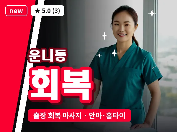 서울 종로구 운니동 출장 회복 마사지