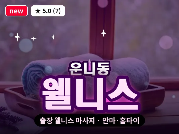 서울 종로구 운니동 출장 웰니스 마사지
