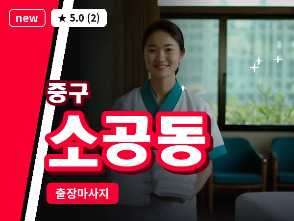 서울 중구 소공동 출장 허브볼 마사지