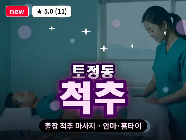 서울 마포구 토정동 출장 척추 마사지