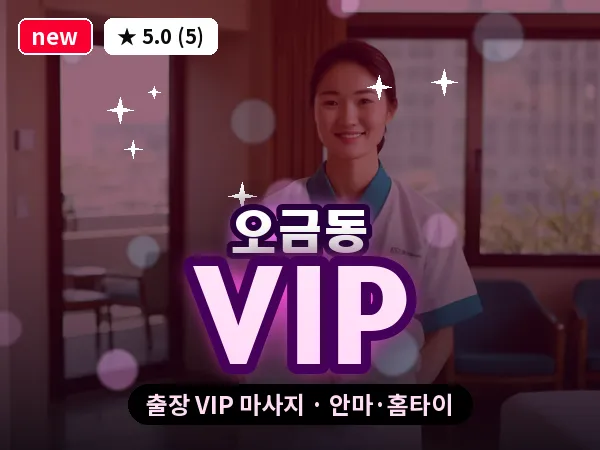 서울 송파구 오금동 출장 VIP 마사지