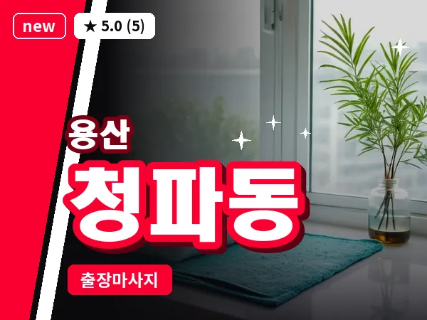 서울 용산구 청파동 출장 허리 마사지