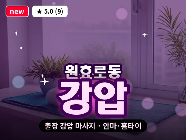 서울 용산구 원효로동 출장 강압 마사지